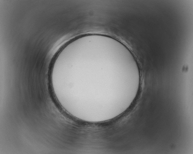 X0000112500199200909071253