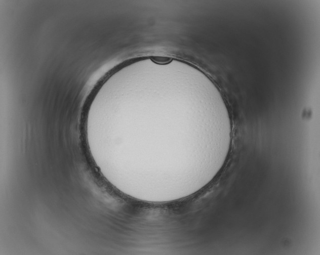 X0000112500200200909071253