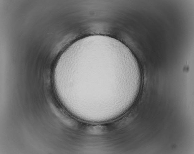 X0000112500202200909071253