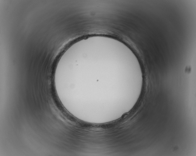 X0000112500203200909071253