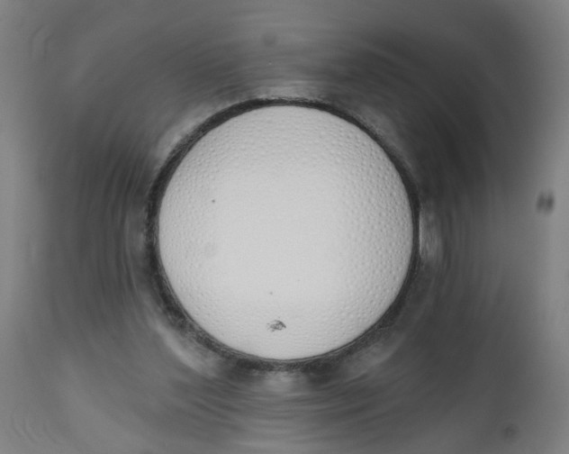 X0000112500204200909071253