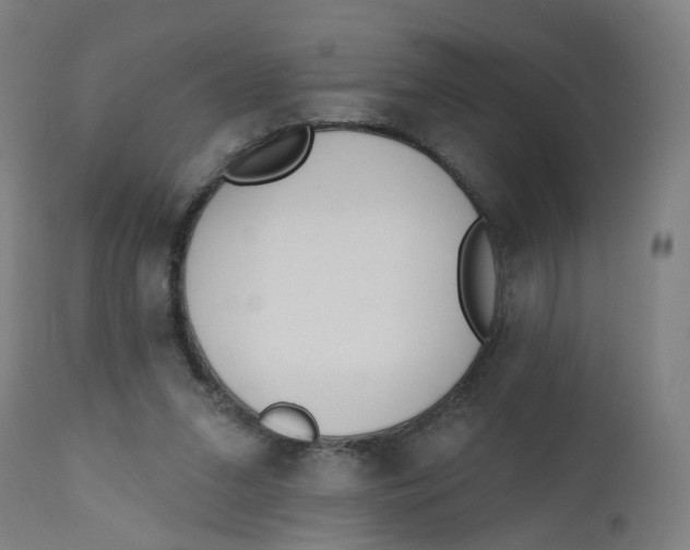 X0000112500207200909071253