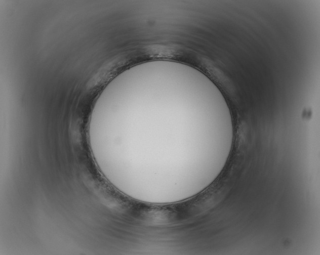 X0000112500209200909071253