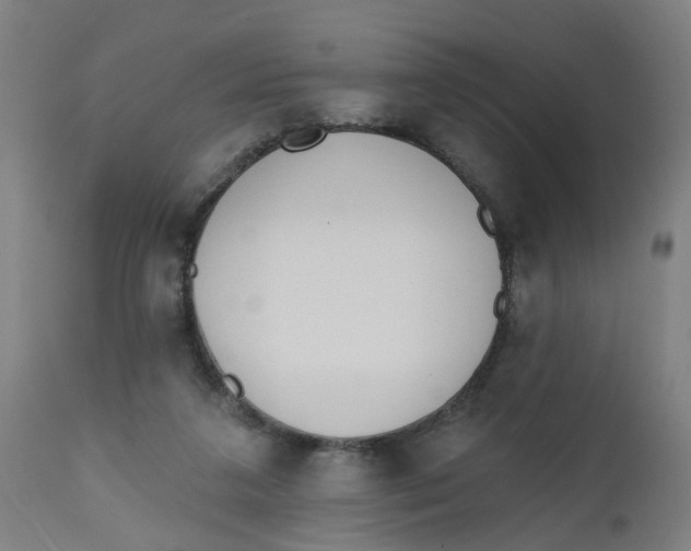 X0000112500211200909071252