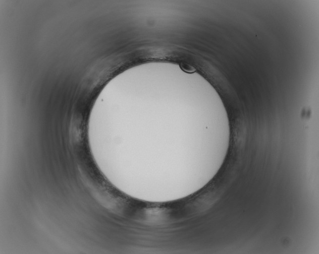 X0000112500216200909071252