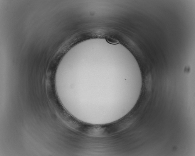 X0000112500217200909071252