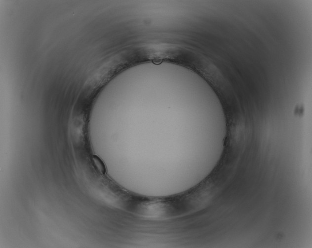 X0000112500219200909071252