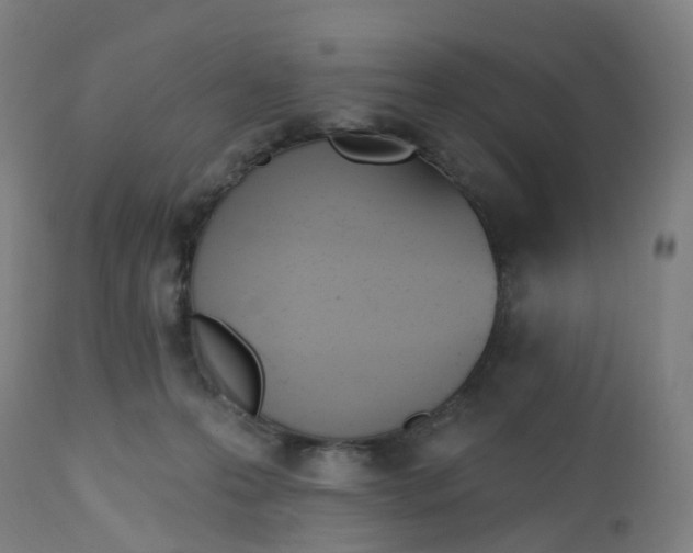 X0000112500223200909071252