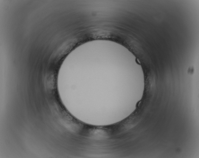 X0000112500224200909071252