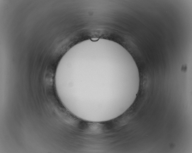 X0000112500226200909071252