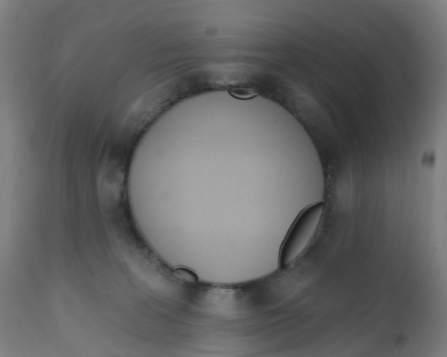 X0000112500227200909071252