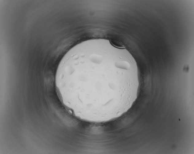 X0000112500228200909071252