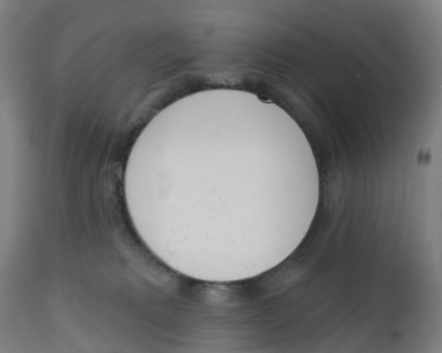 X0000112500229200909071252