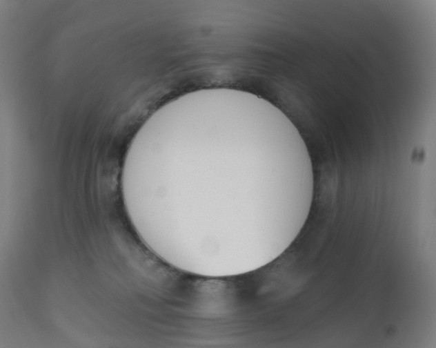 X0000112500230200909071252