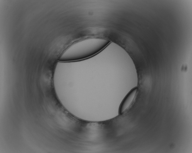 X0000112500231200909071252