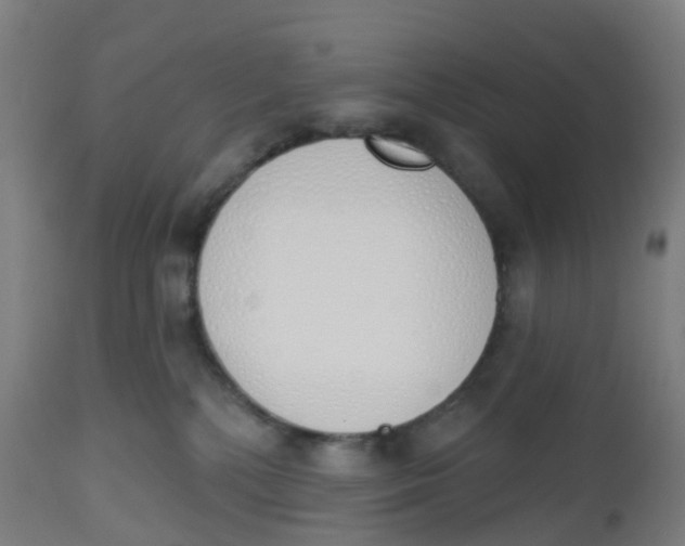 X0000112500232200909071252