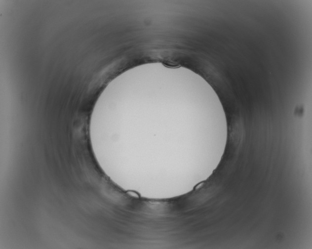 X0000112500233200909071252