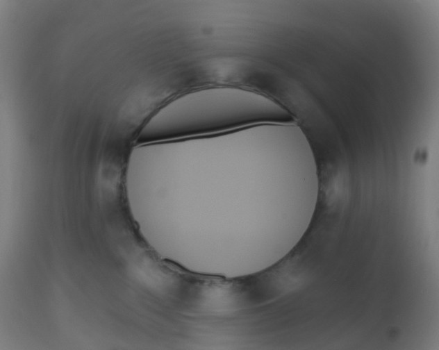 X0000112500235200909071252