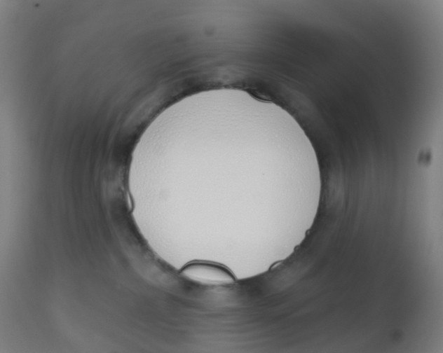 X0000112500236200909071252