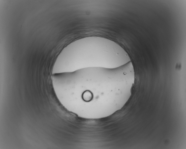 X0000112500237200909071252