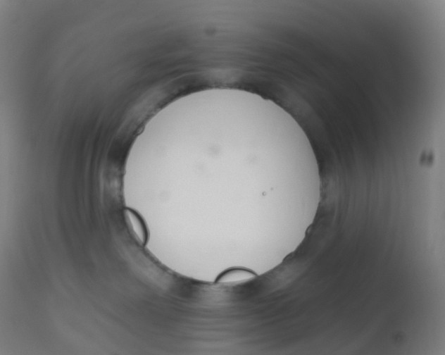 X0000112500238200909071252