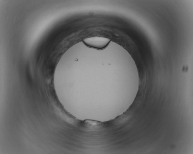 X0000112500239200909071252