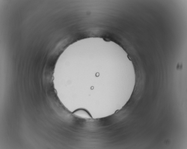 X0000112500240200909071252