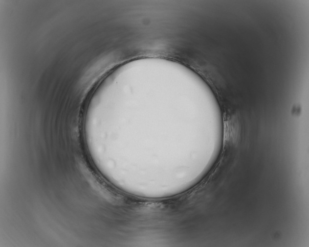 X0000112500243200909071251