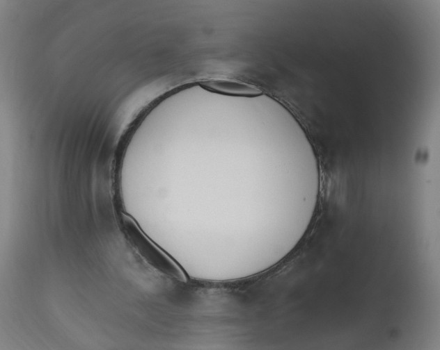 X0000112500244200909071251