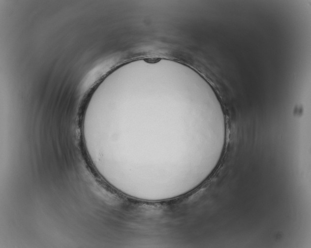 X0000112500245200909071251