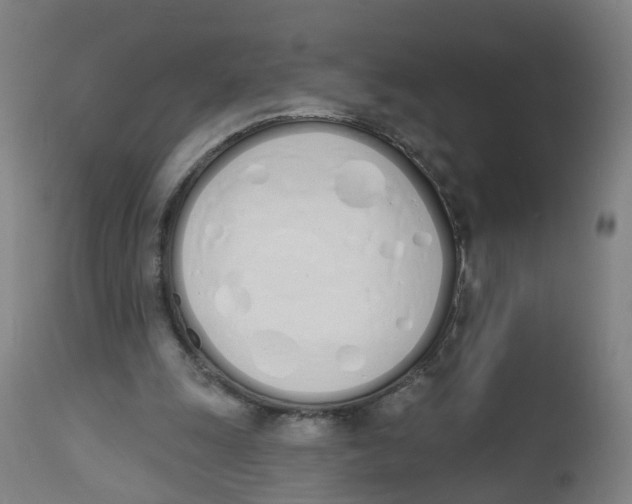 X0000112500247200909071251