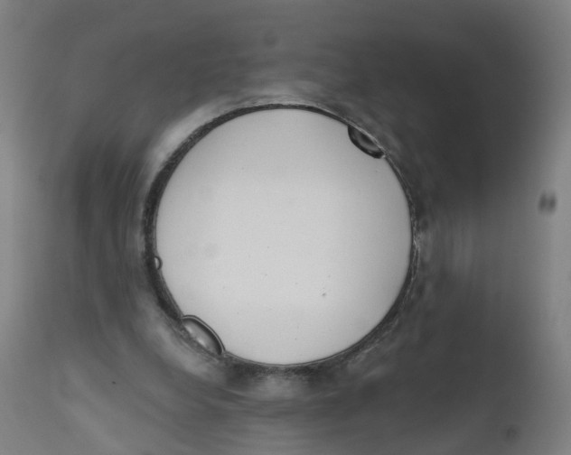 X0000112500248200909071251