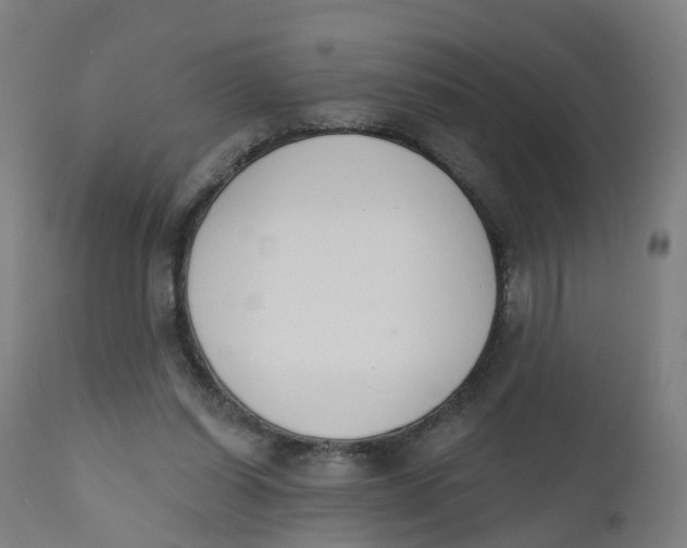 X0000112500254200909071252