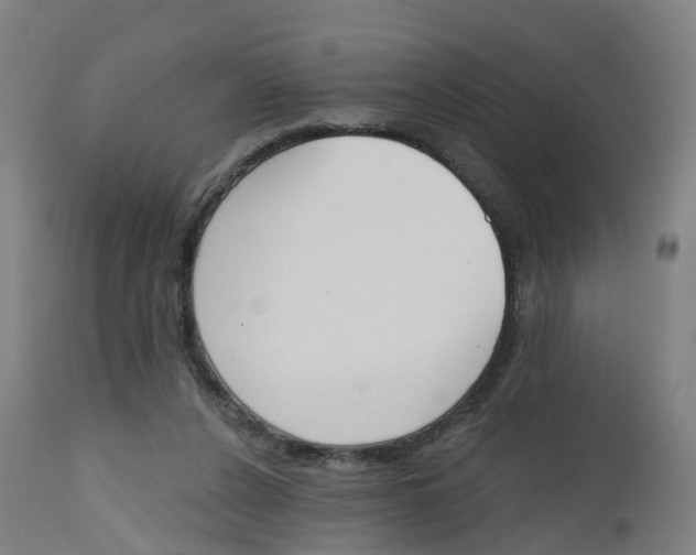 X0000112500256200909071252