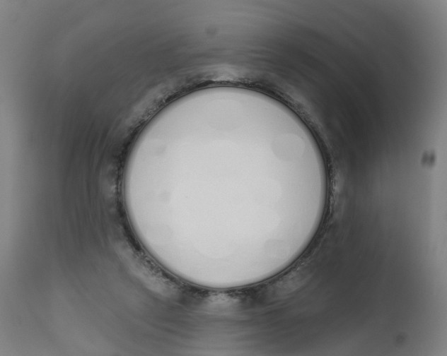 X0000112500257200909071252