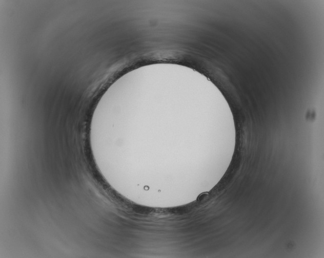 X0000112500260200909071252