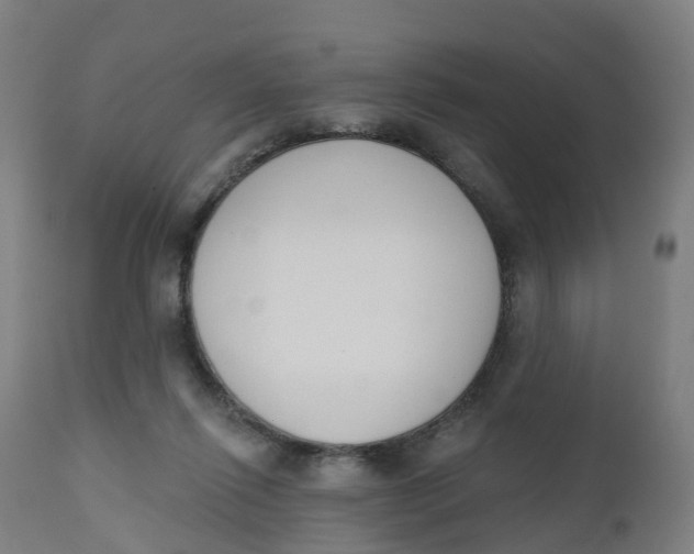 X0000112500262200909071252