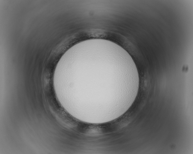 X0000112500263200909071252