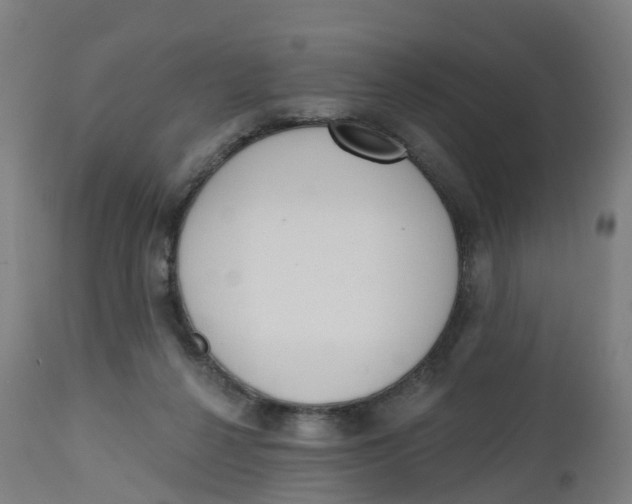 X0000112500264200909071252