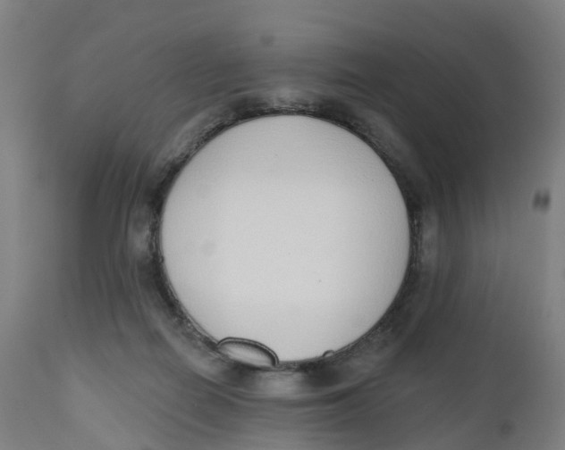 X0000112500266200909071252