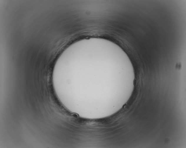 X0000112500268200909071252