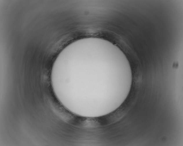 X0000112500270200909071252