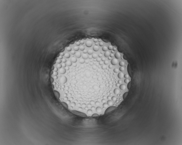 X0000112500271200909071252