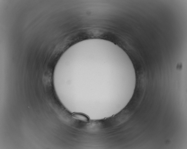 X0000112500274200909071252