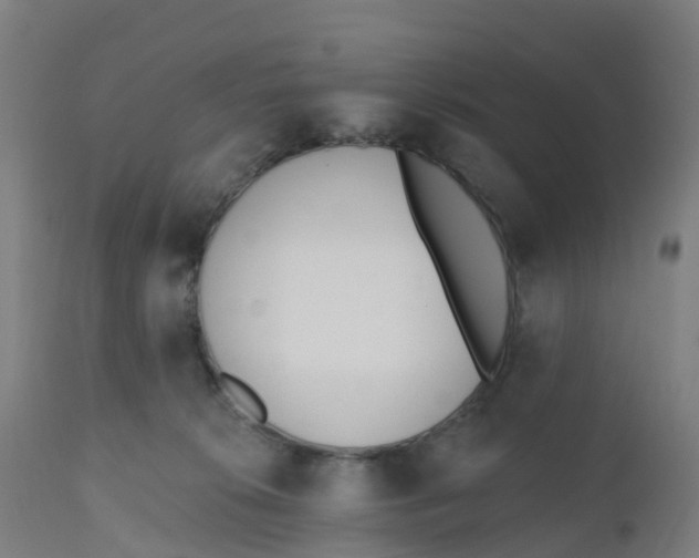 X0000112500276200909071252