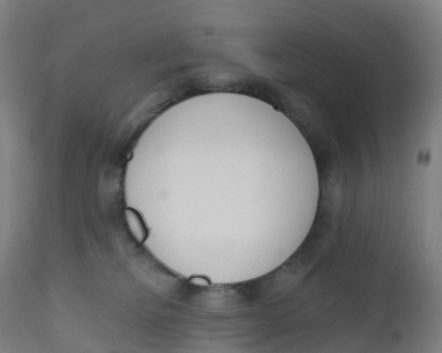 X0000112500278200909071252