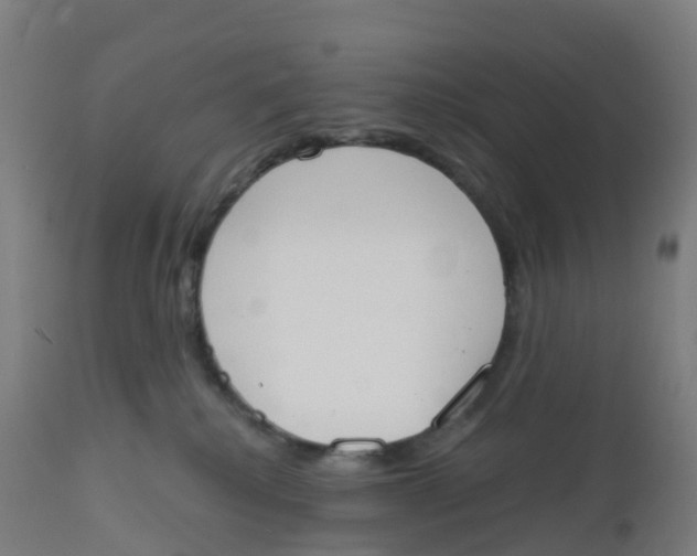 X0000112500280200909071252