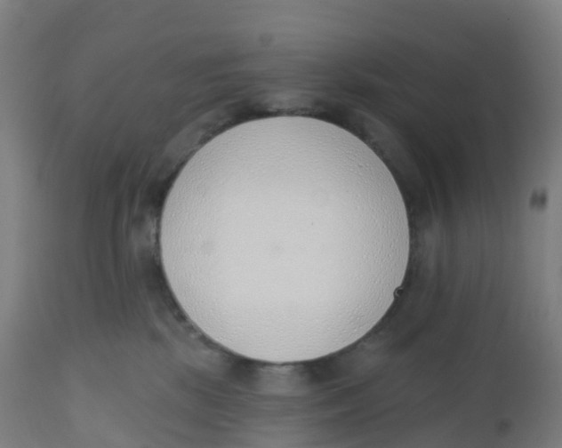 X0000112500281200909071252