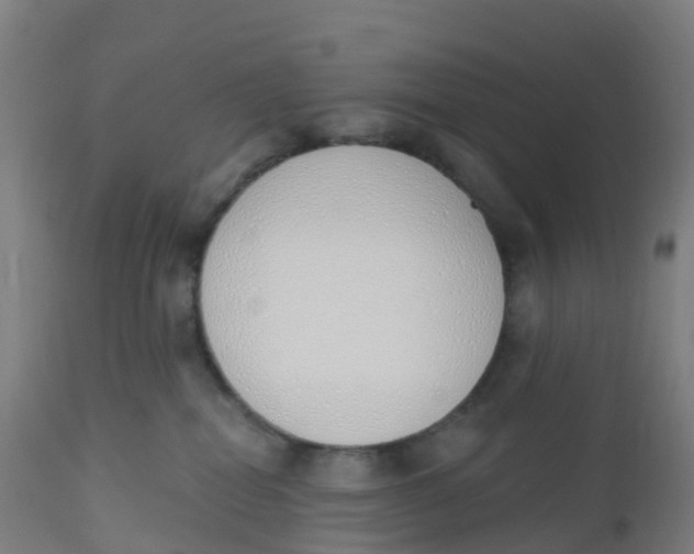 X0000112500282200909071252