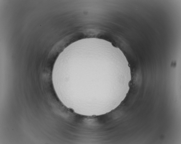 X0000112500283200909071252